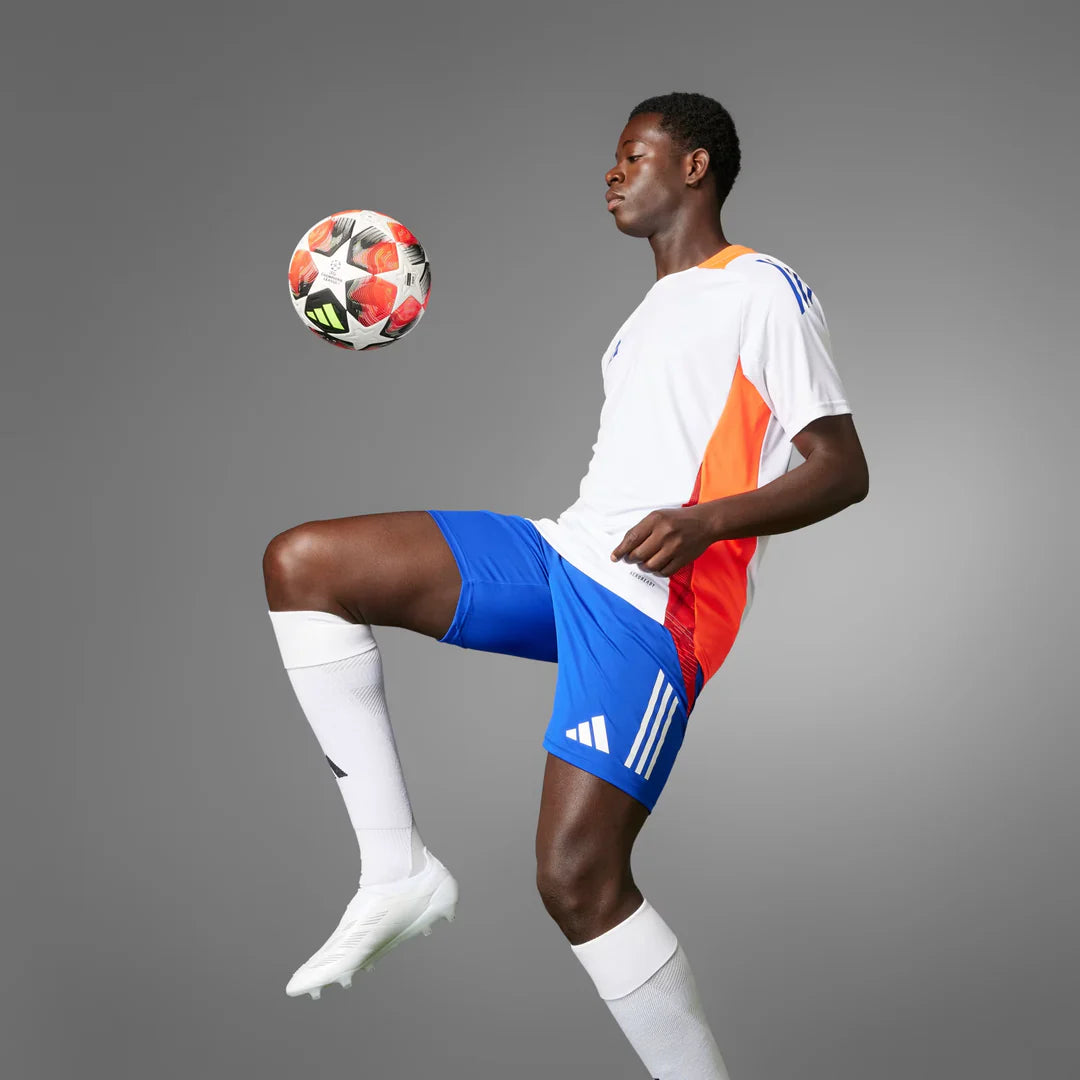 كرة دوري ابطال اوربا نهائي 24_25