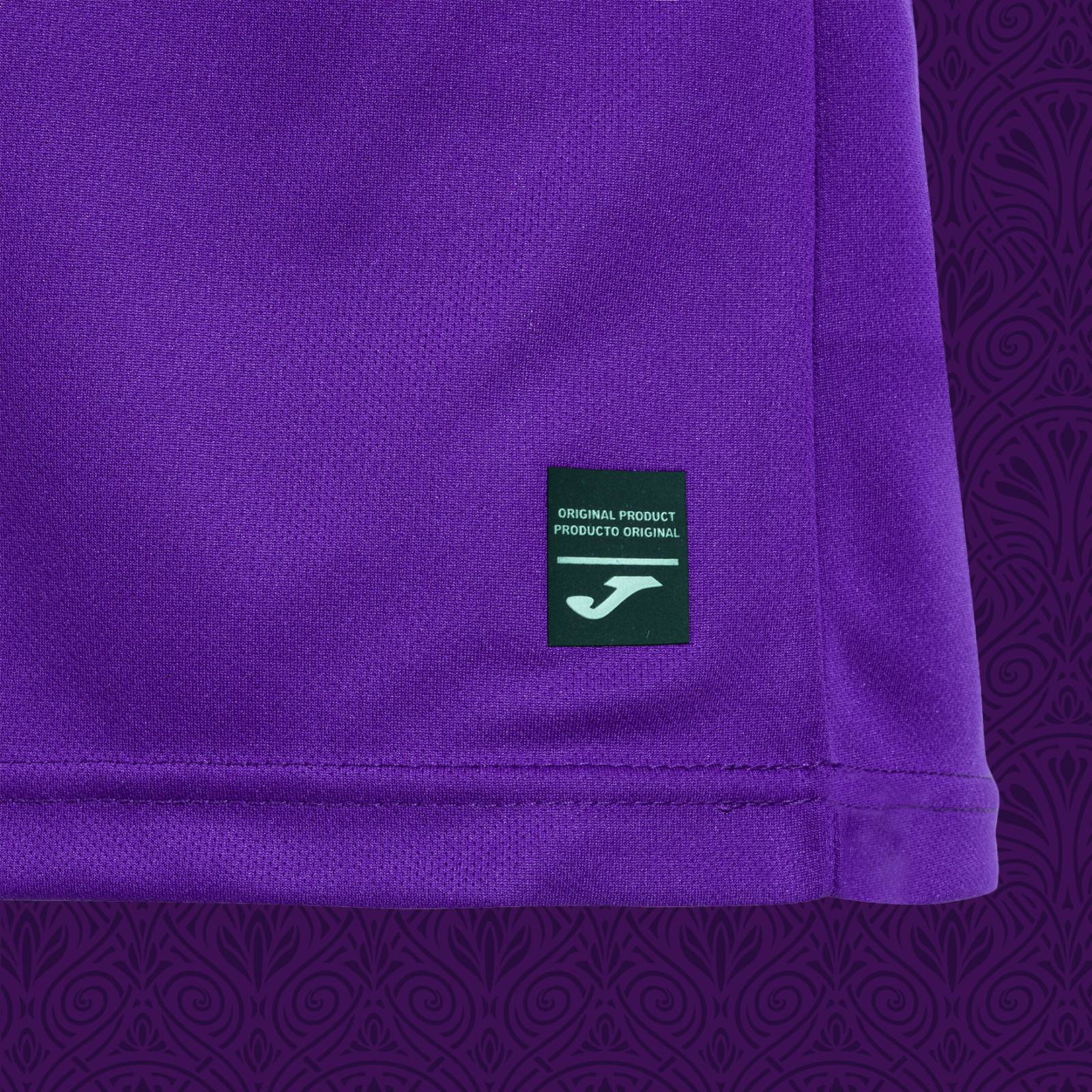 Anderlecht Home Jersey 2024/25