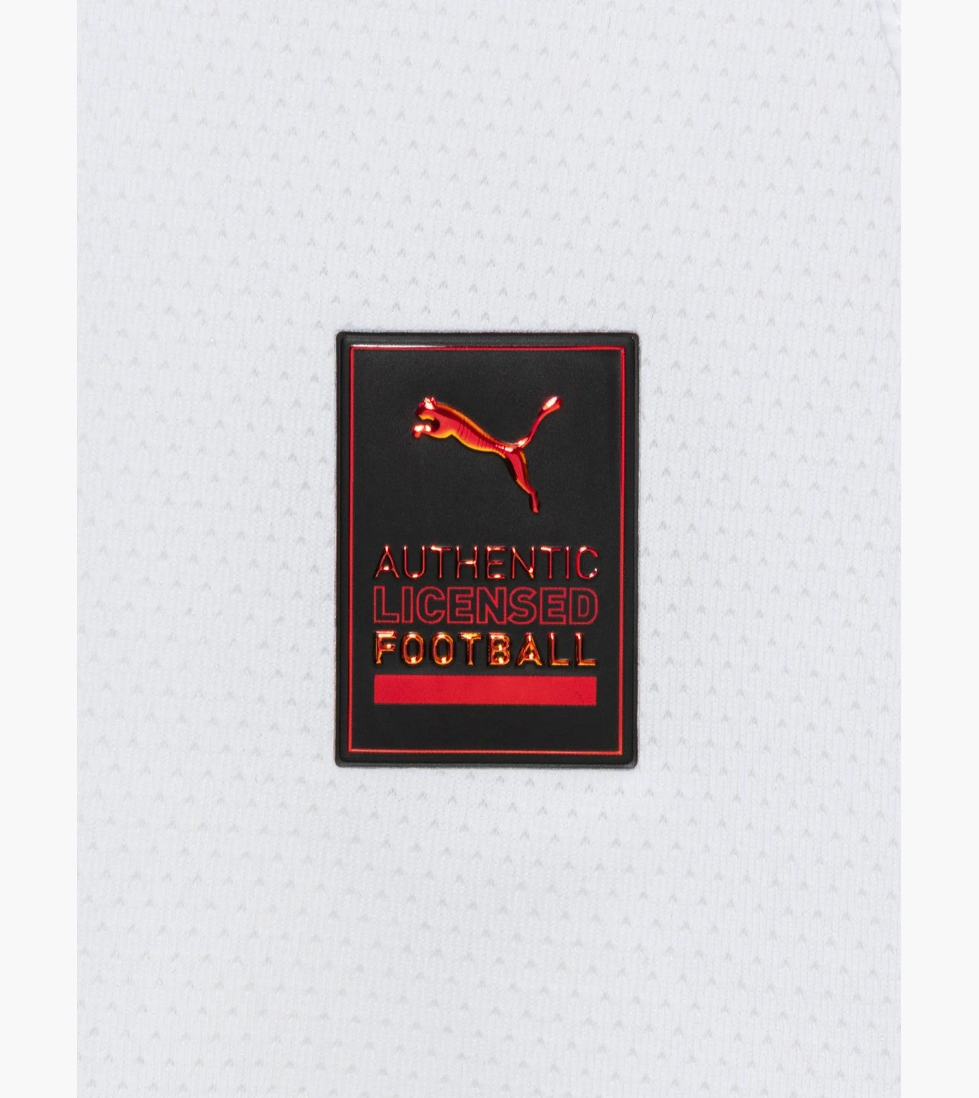 Leipzig Home Jersey 2024/25
